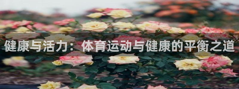 公海赌赌船官网下载平台注册流程视频:健康与活力:体育运动与健