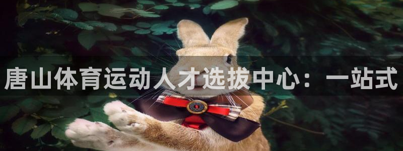 公海赌赌船官方正版app娱乐是那个系列的台子:唐山体育运动人