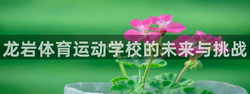 公海赌赌船官方正版app集团官网首页网址:龙岩体育运动学校的