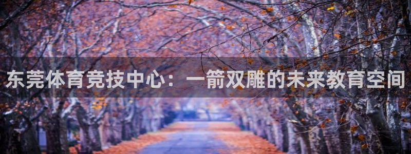 注册公海赌赌船官方正版app:东莞体育竞技中心:一箭双雕的未