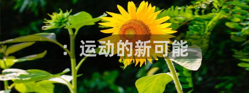 公海赌赌船官网下载娱乐::运动的新可能