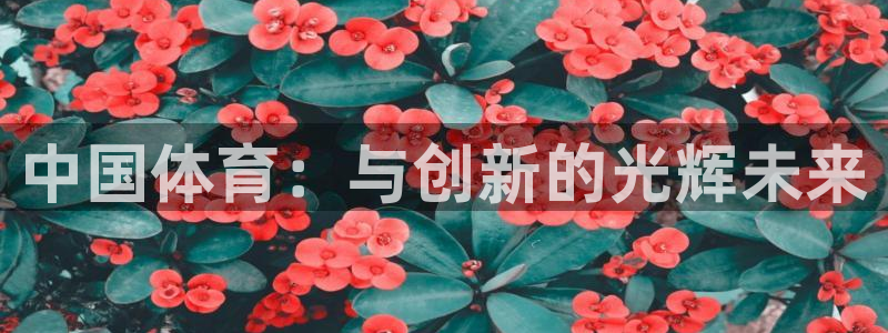 公海赌赌船官网下载平台注册流程图:中国体育:与创新的光辉未来