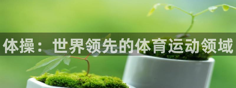 公海赌赌船官网下载:体操:世界领先的体育运动领域