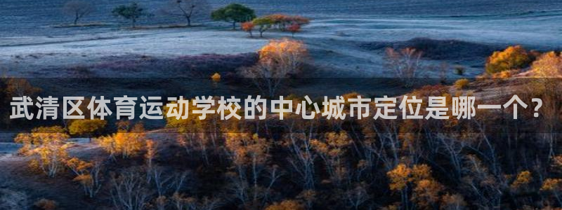 公海赌赌船官方正版app集团:武清区体育运动学校的中心城市定